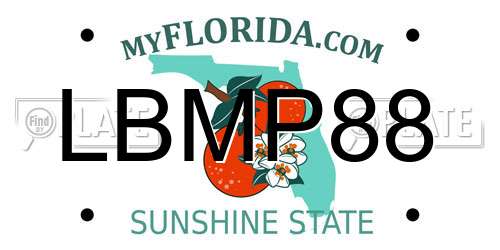LBMP88 Florida License Plate