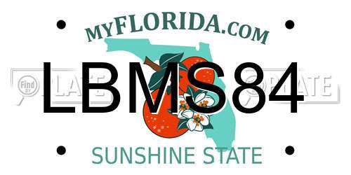 LBMS84 Florida License Plate