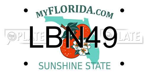LBN49 Florida License Plate
