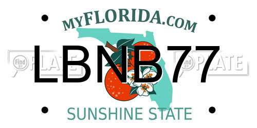 LBNB77 Florida License Plate