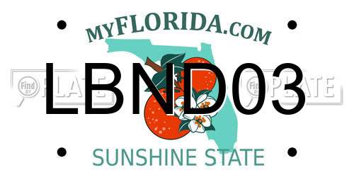 LBND03 Florida License Plate