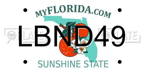 LBND49 Florida License Plate