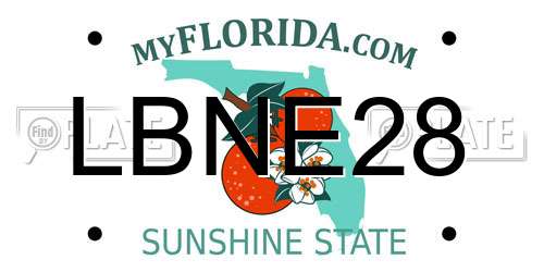 LBNE28 Florida License Plate