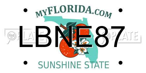 LBNE87 Florida License Plate