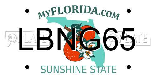 LBNG65 Florida License Plate