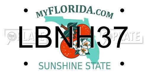 LBNH37 Florida License Plate