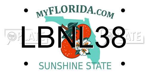 LBNL38 Florida License Plate