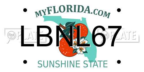 LBNL67 Florida License Plate