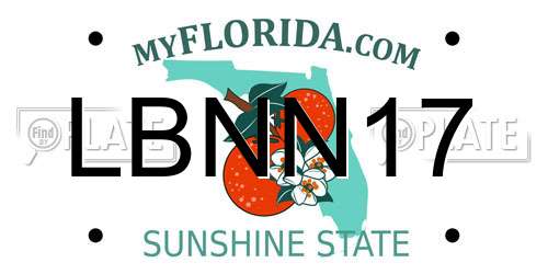 LBNN17 Florida License Plate