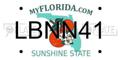 LBNN41 Florida License Plate