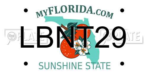 LBNT29 Florida License Plate