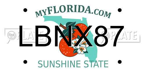 LBNX87 Florida License Plate