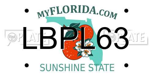 LBPL63 Florida License Plate