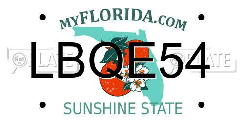 LBQE54 Florida License Plate