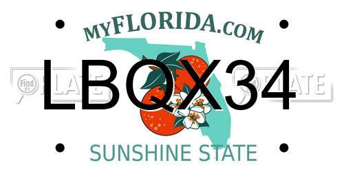LBQX34 Florida License Plate