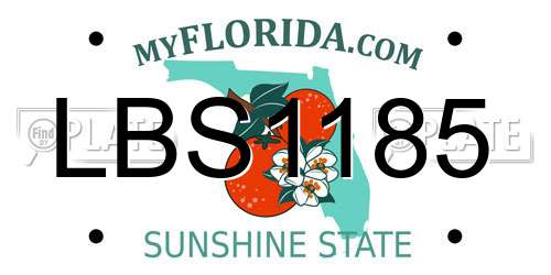 LBS1185 Florida License Plate
