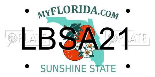 LBSA21 Florida License Plate
