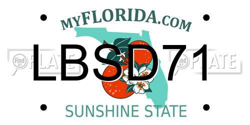 LBSD71 Florida License Plate