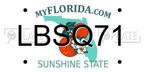 LBSQ71 Florida License Plate