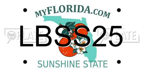 LBSS25 Florida License Plate