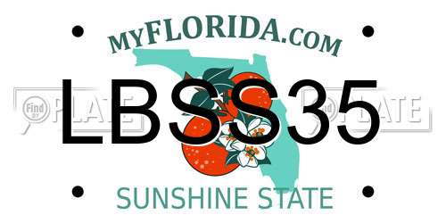 LBSS35 Florida License Plate