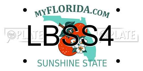 LBSS4 Florida License Plate