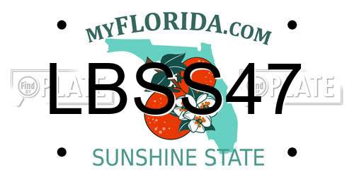 LBSS47 Florida License Plate
