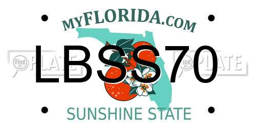 LBSS70 Florida License Plate