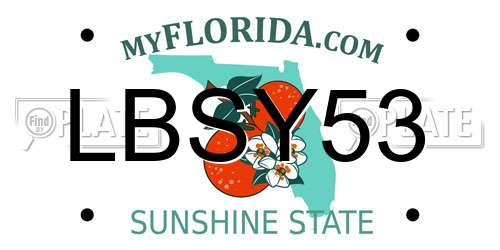 LBSY53 Florida License Plate