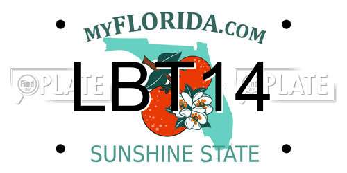 LBT14 Florida License Plate