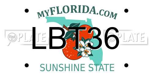 LBT36 Florida License Plate