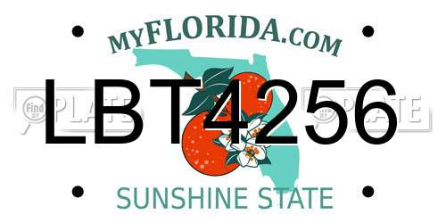 LBT4256 Florida License Plate