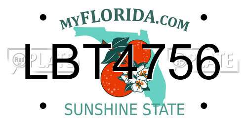 LBT4756 Florida License Plate