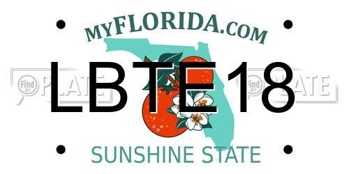 LBTE18 Florida License Plate