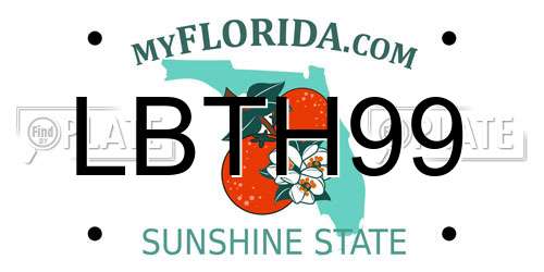 LBTH99 Florida License Plate