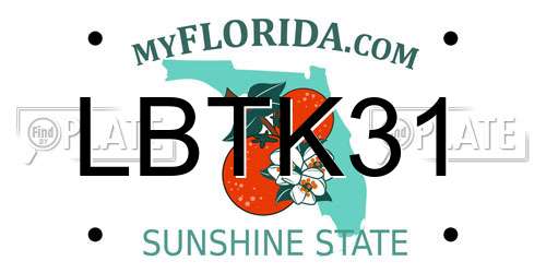 LBTK31 Florida License Plate