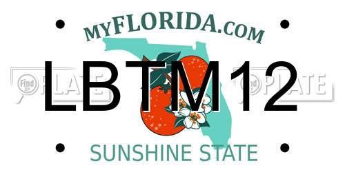LBTM12 Florida License Plate