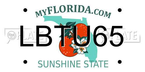 LBTU65 Florida License Plate