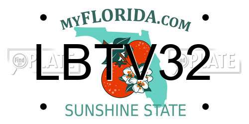 LBTV32 Florida License Plate