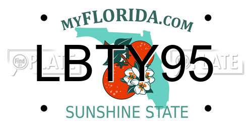 LBTY95 Florida License Plate