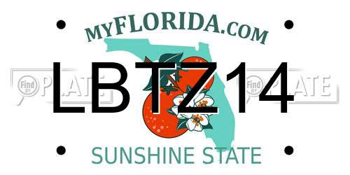 LBTZ14 Florida License Plate