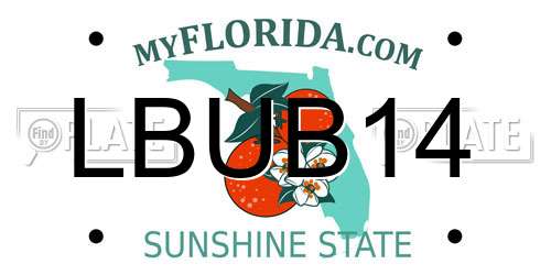 LBUB14 Florida License Plate