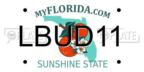 LBUD11 Florida License Plate