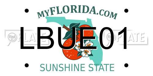 LBUE01 Florida License Plate