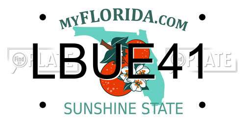 LBUE41 Florida License Plate