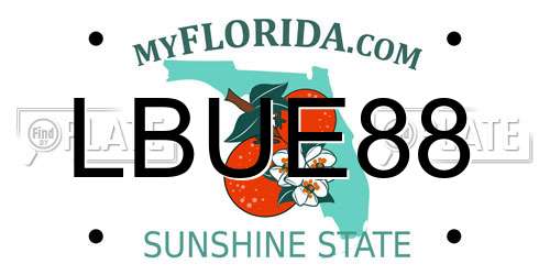 LBUE88 Florida License Plate