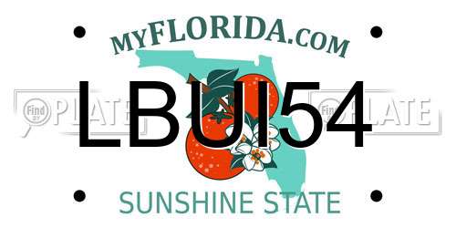 LBUI54 Florida License Plate
