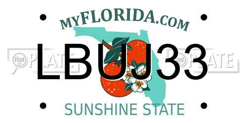 LBUJ33 Florida License Plate