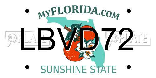 LBVD72 Florida License Plate