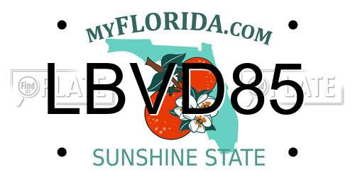 LBVD85 Florida License Plate
